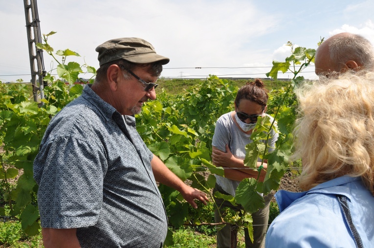 Rajd rowerowy na opolskim szlaku św. Jakuba