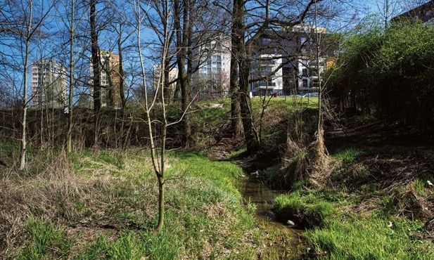 Gliwice. Rozpoczynają się konsultacje w sprawie budowy zbiornika na terenie Wilczych Dołów