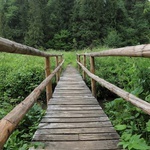 Bieszczady. Dolina Sanu