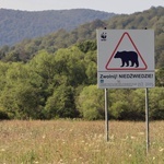 Bieszczady. Dolina Sanu