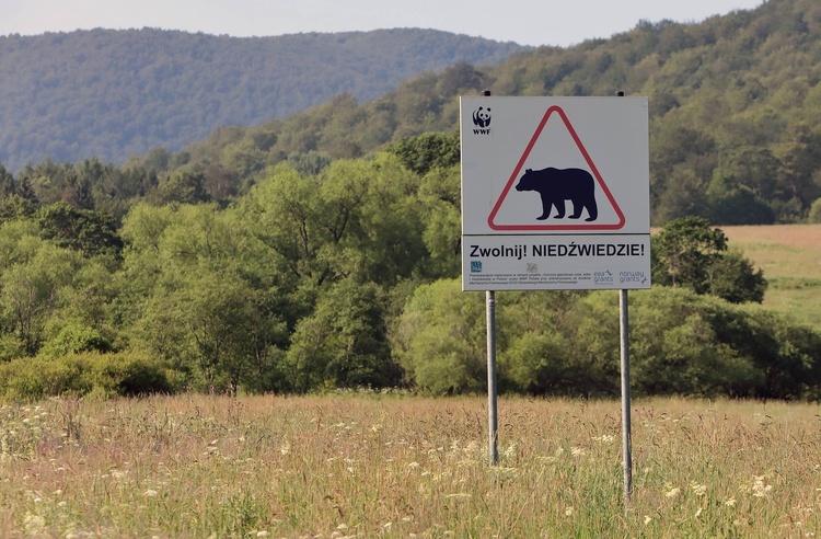 Bieszczady. Dolina Sanu