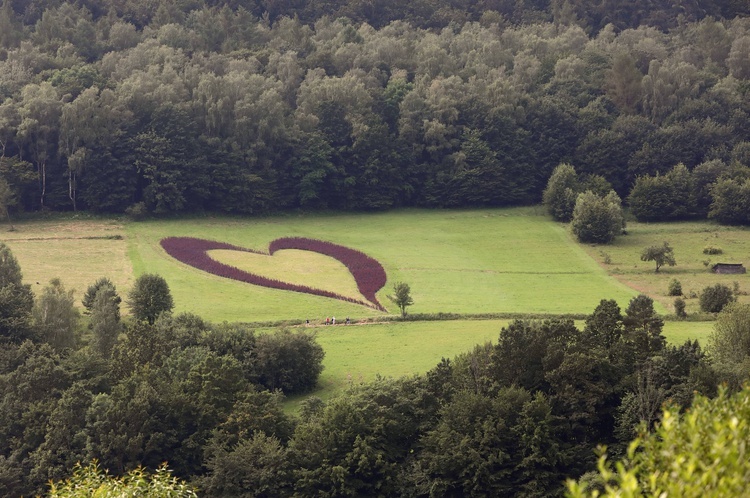 Bieszczady. Dolina Sanu