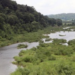 Bieszczady. Dolina Sanu