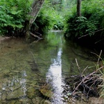 Bieszczady. Dolina Sanu