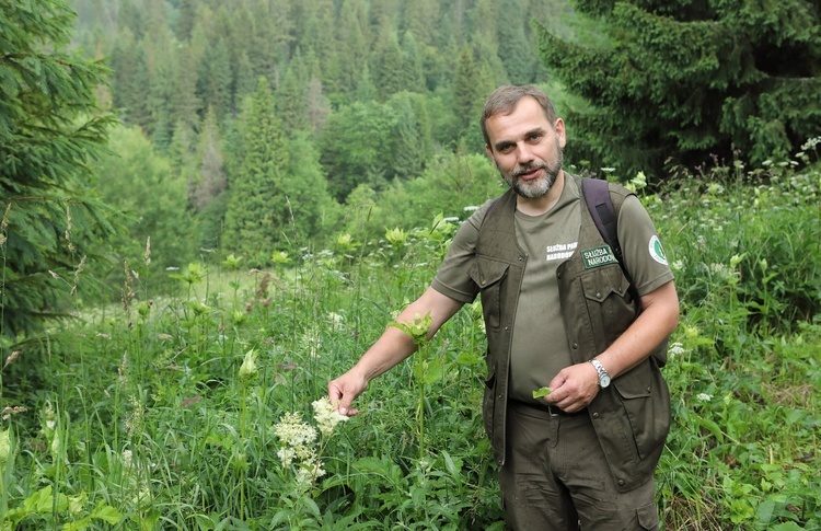 Bieszczady. Dolina Sanu