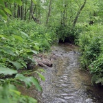 Bieszczady. Dolina Sanu