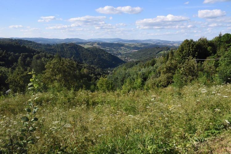 Krzyż w Obidzy