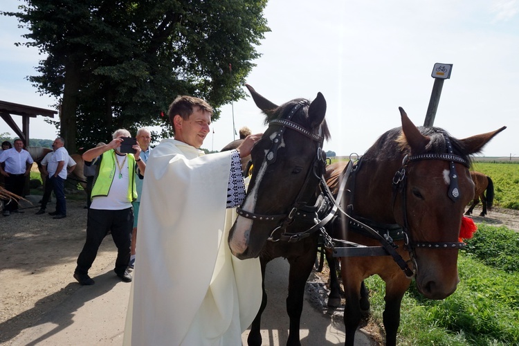 XI Konna Pielgrzymka z Toszka do Goja