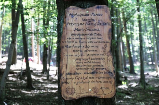 Trzonka 2020 - odpust ku czci Matki Bożej Śnieżnej