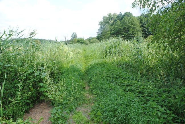 Zaklików. Wypoczynek nad zalewem