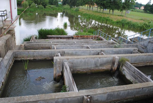 Zaklików. Wypoczynek nad zalewem