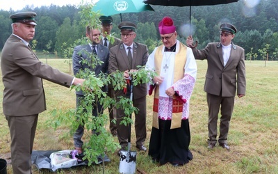 Orzechowo. Posadzenie dębów katyńskich