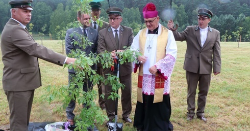 Orzechowo. Posadzenie dębów katyńskich