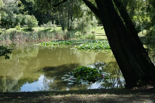 Ogród botaniczny w Zabrzu
