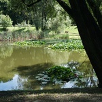 Ogród botaniczny w Zabrzu