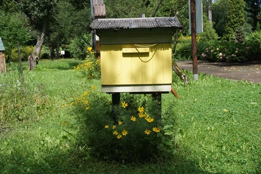 Ogród botaniczny w Zabrzu