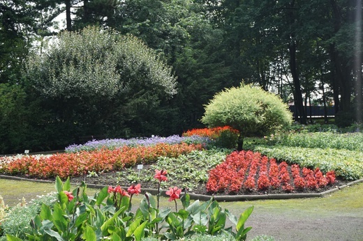 Ogród botaniczny w Zabrzu