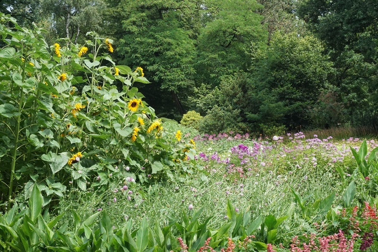 Ogród botaniczny w Zabrzu