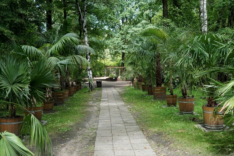 Ogród botaniczny w Zabrzu