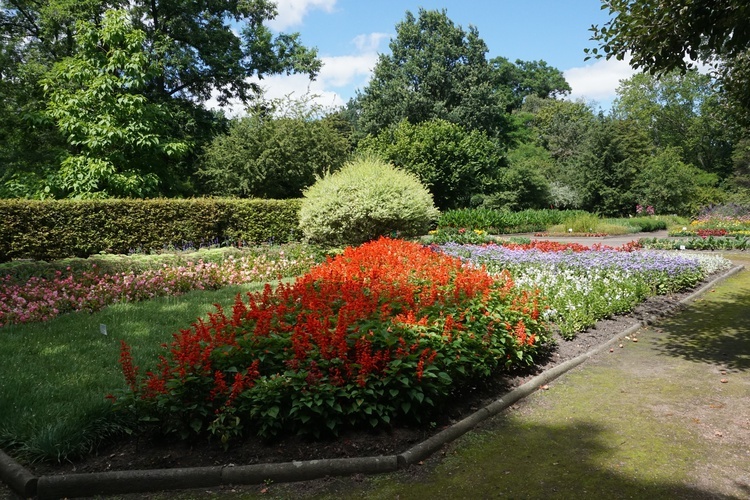 Ogród botaniczny w Zabrzu