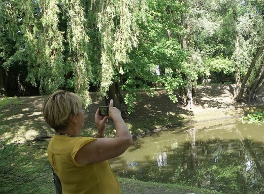 Ogród botaniczny w Zabrzu