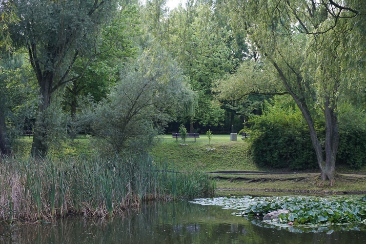 Ogród botaniczny w Zabrzu