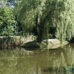 Ogród botaniczny w Zabrzu