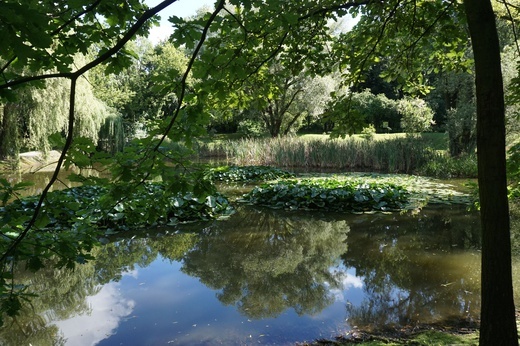 Ogród botaniczny w Zabrzu