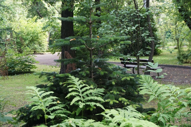 Ogród botaniczny w Zabrzu