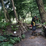 Ogród botaniczny w Zabrzu