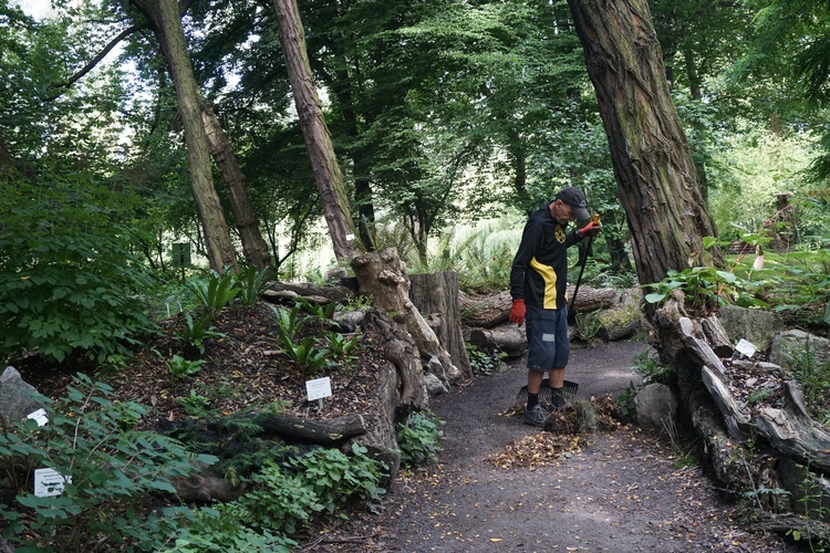 Ogród botaniczny w Zabrzu