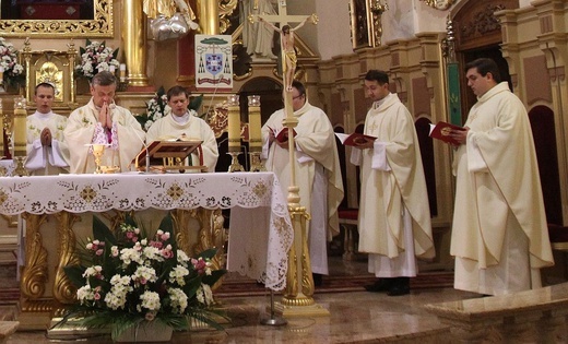 29. Piesza Pielgrzymka Diecezji Bielsko-Żywieckiej na Jasną Górę - Hałcnów 2020