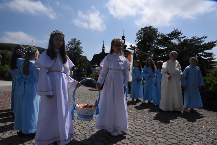 Kardynał w Krużlowej