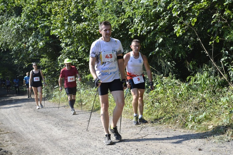 Mistrzostwa Tarnobrzega w Nordic Walking