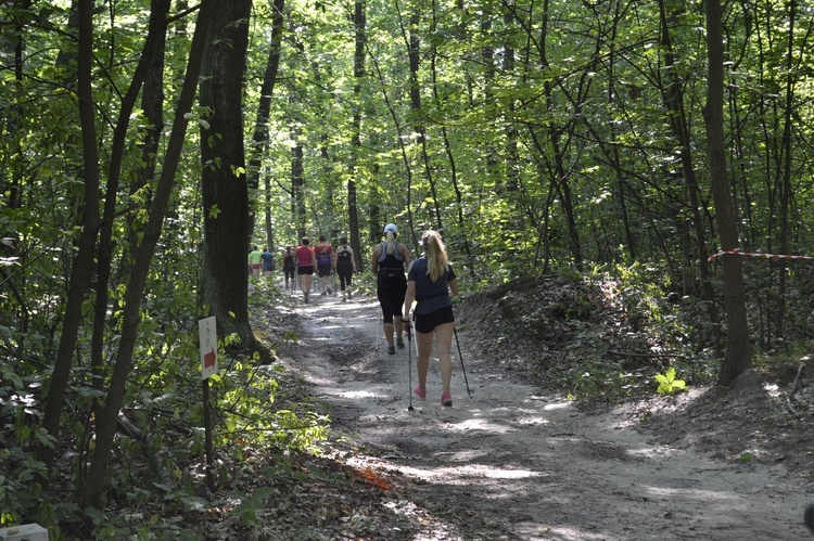 Mistrzostwa Tarnobrzega w Nordic Walking