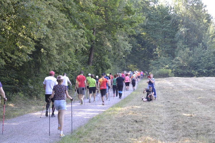 Mistrzostwa Tarnobrzega w Nordic Walking