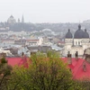 Lwów
