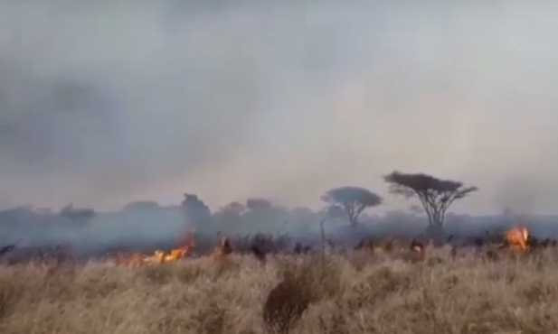 Tsavo w płomieniach