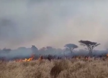 Tsavo w płomieniach