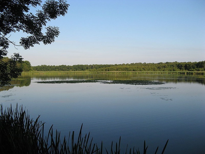 06.08.20| Rezerwat Łężczok