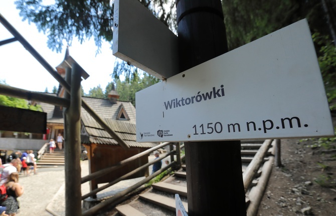 Wiktorówki