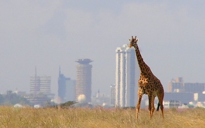 Jaka przyszłość najstarszego Parku Narodowego Kenii?