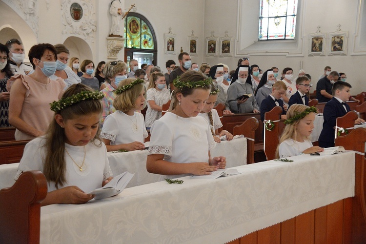 Pielgrzymkowa Msza św. w Kamieniu Śląskim