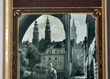 Bogusław Szybkowski, „Opole 1860–1945. Katalog fotografii”, Wydawnictwo MS,  Opole 2020, ss. 191.