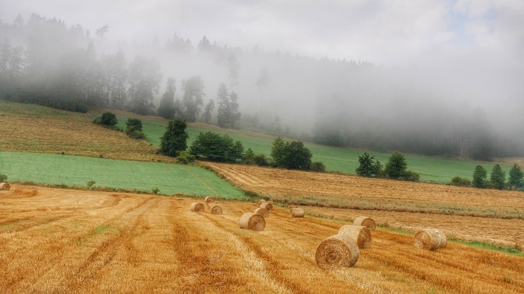 Nowa Ruda. Pieszo do Wambierzyc na 40-lecie koronacji