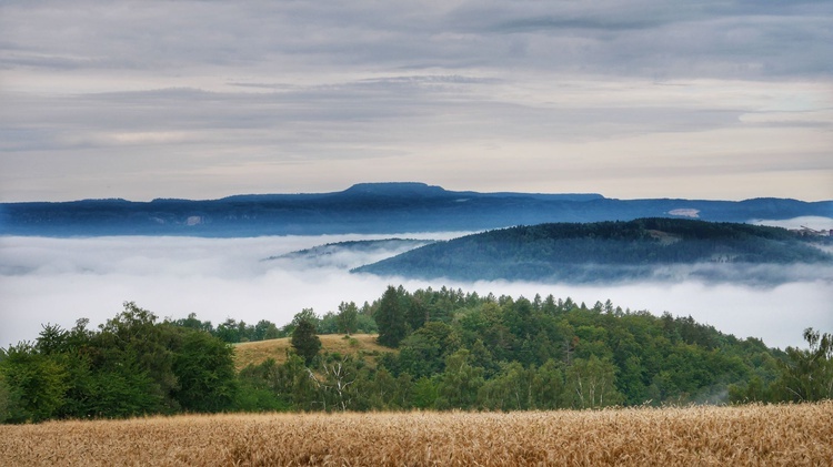 Nowa Ruda. Pieszo do Wambierzyc na 40-lecie koronacji