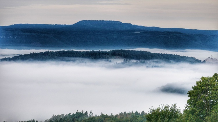 Nowa Ruda. Pieszo do Wambierzyc na 40-lecie koronacji