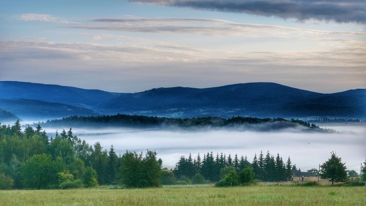 Nowa Ruda. Pieszo do Wambierzyc na 40-lecie koronacji