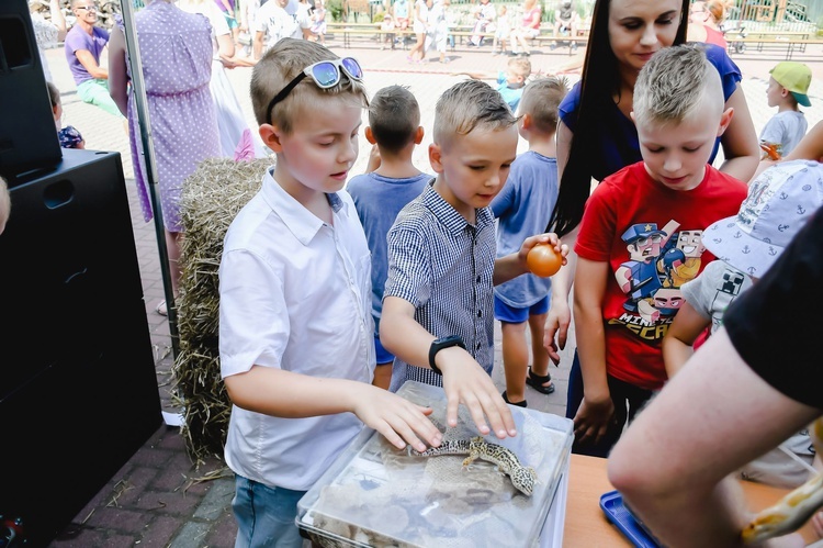 Proboszczewice. II Dożynkowy piknik rodzinny