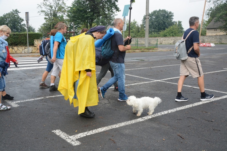 Strumień raciborski w Centawie